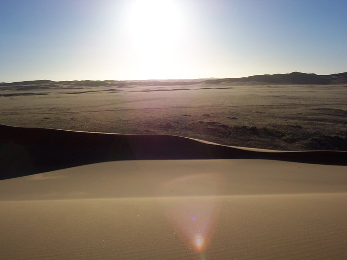 Sand dunes in the Namib Desert