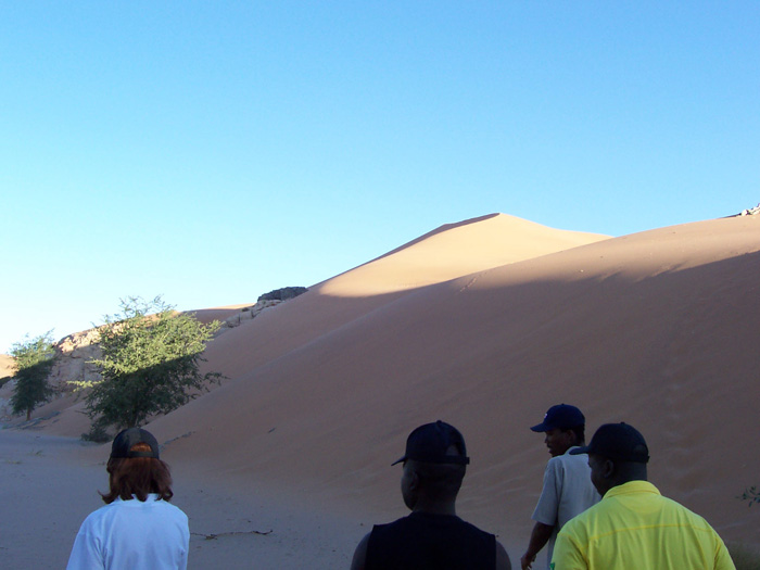 The sand dunes in the Namid Desert