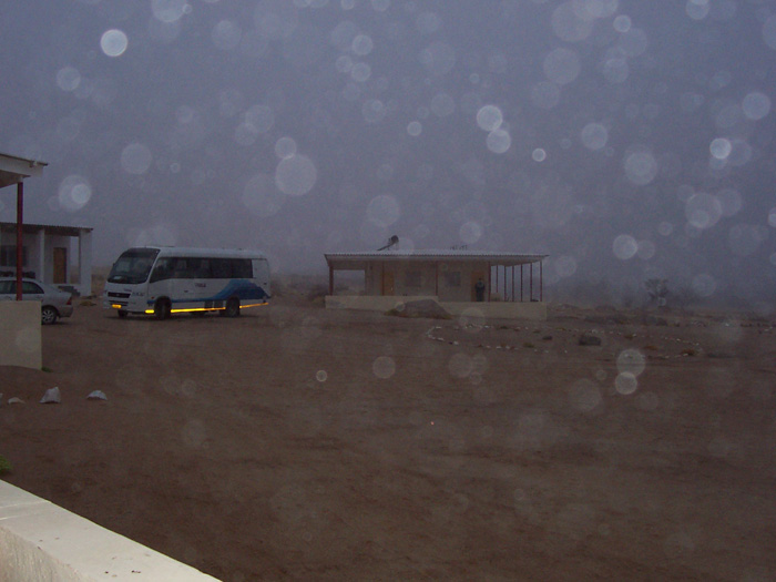 cold and foggy morning in the Namib Desert