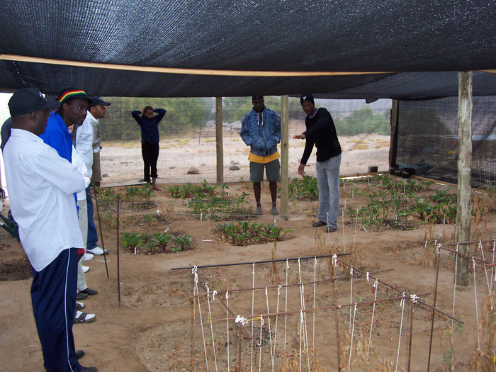 A greenhouse at the Gobabeb Resercah Centre