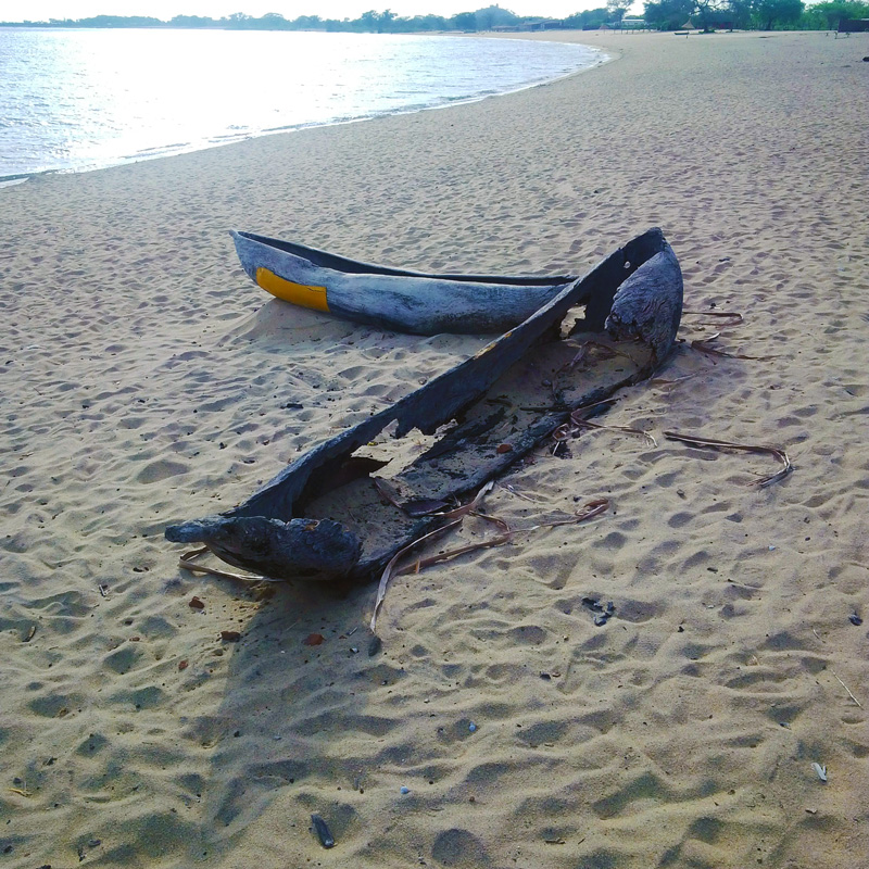 a wooden canoe left to rot