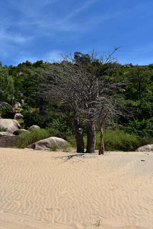 nature at joma adventure lodge