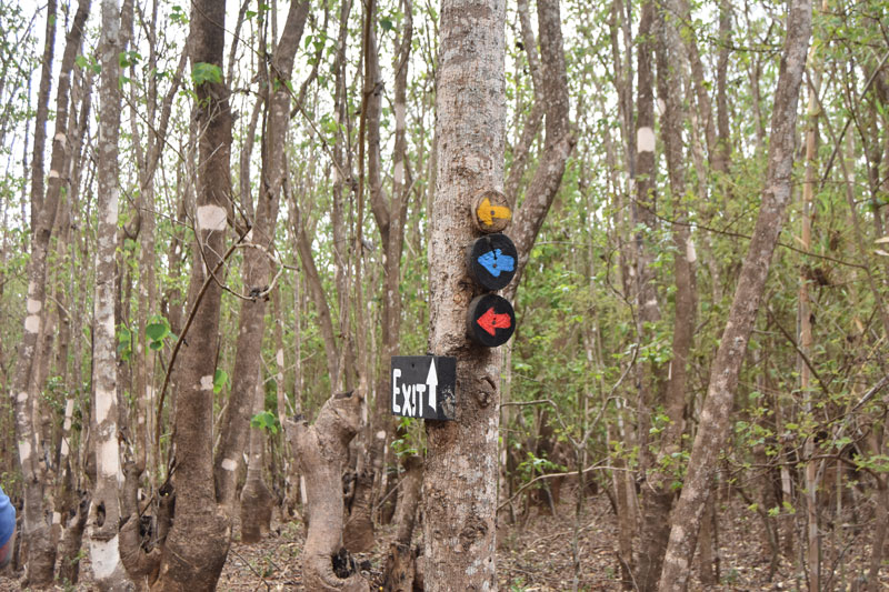 Lilongwe Wildlife trust trail directions