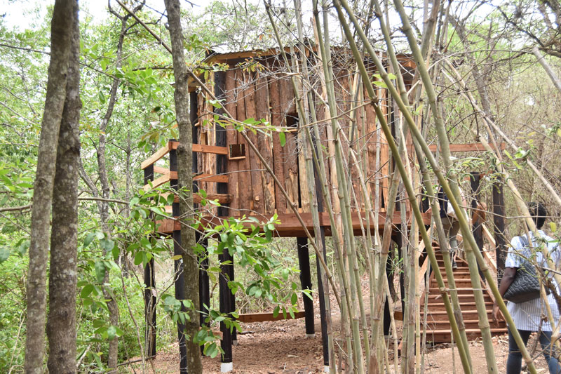 a bird hide at Lilongwe Wildlife Centre