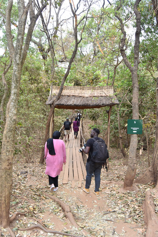 a trail in the lilongwe wildlife centre