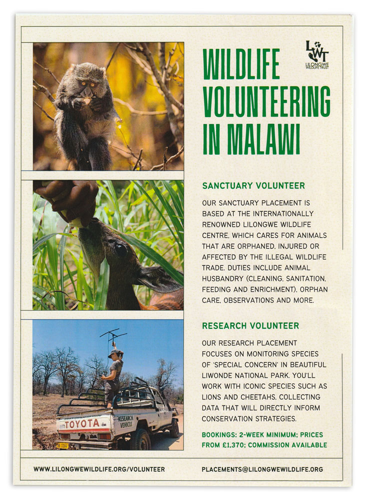 Volunteering at Lilongwe Wildlife Trust