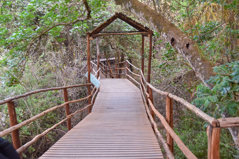 boardwalk in the centre