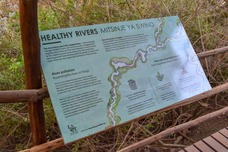 healthy lingadzi river billboard