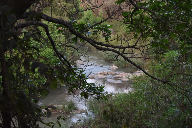 views of lingadzi river from the boardwalk