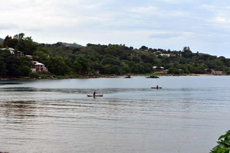 canoes glide into and out of the port