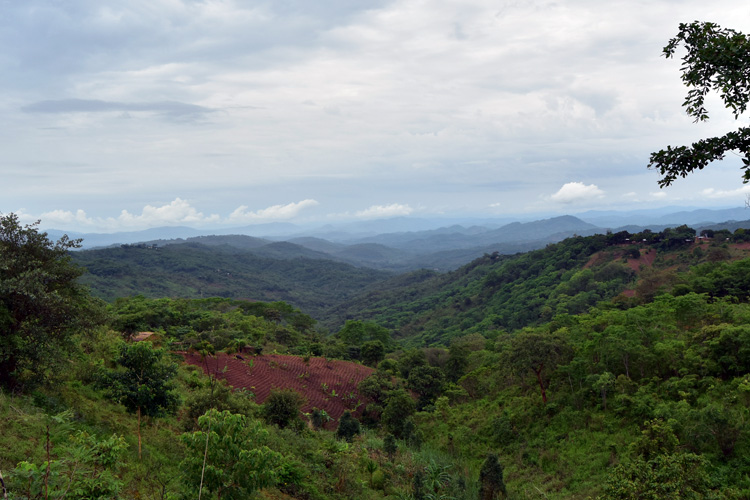 the rolling hills of northern Malawi