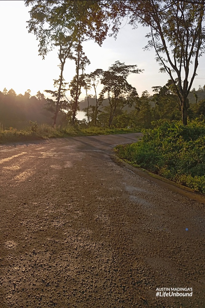 Mulunguzi dam in the distance