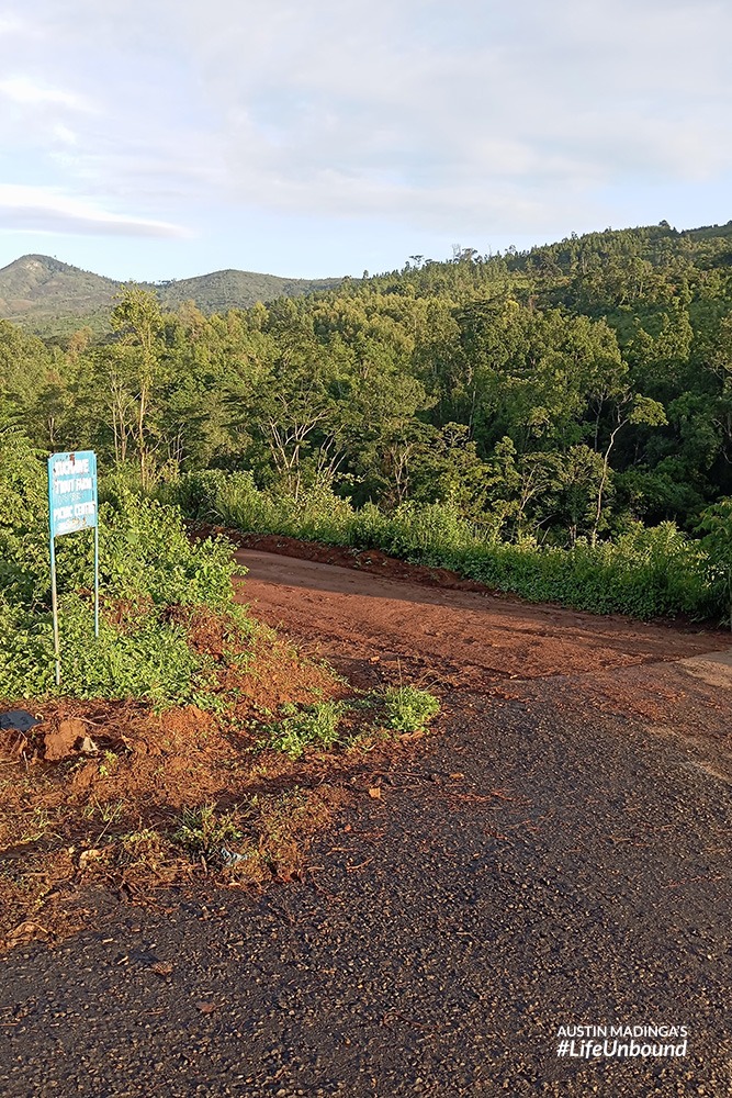 a muddy road on the mountain