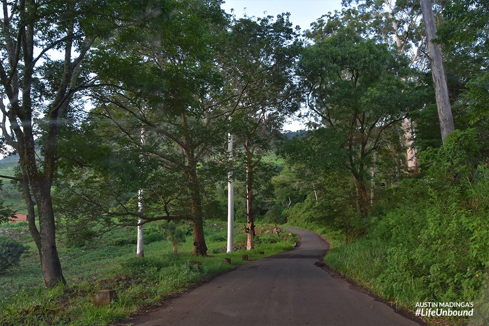 the road up Zomba Plateau