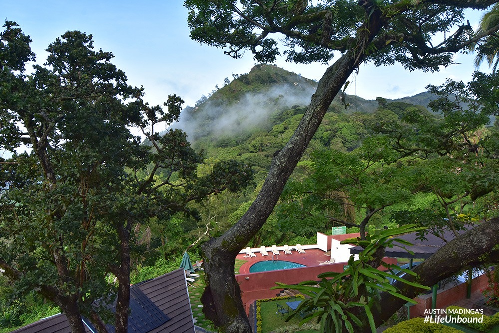 the swimming pool in the morning