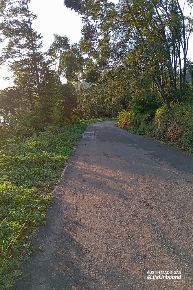 the windy road down the mountain