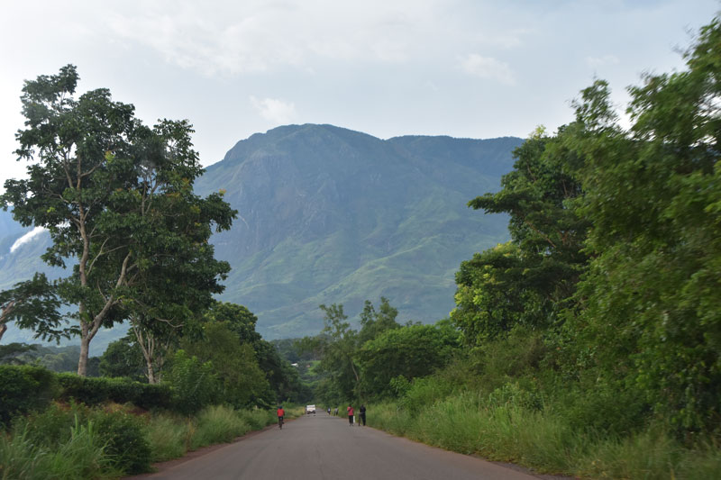 Mulanje mountain slopes