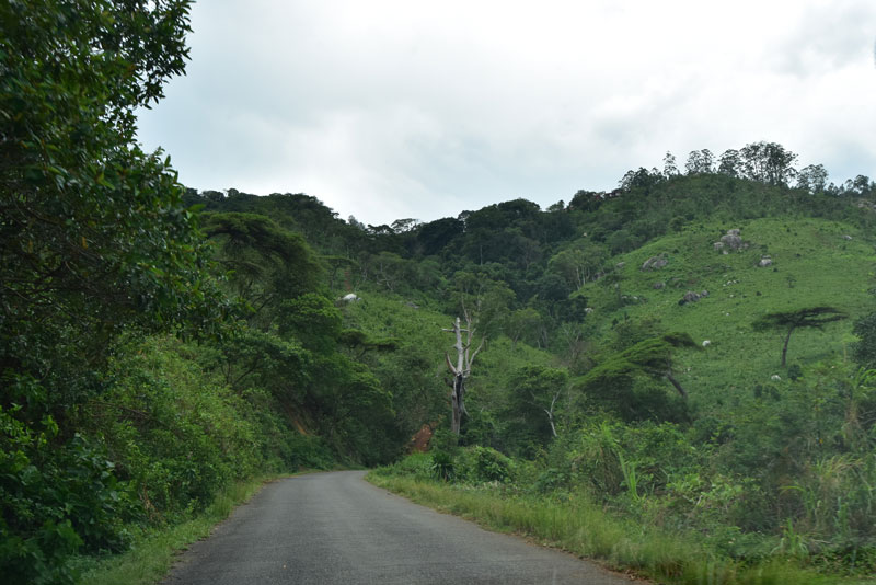 The road up Zomba plateau