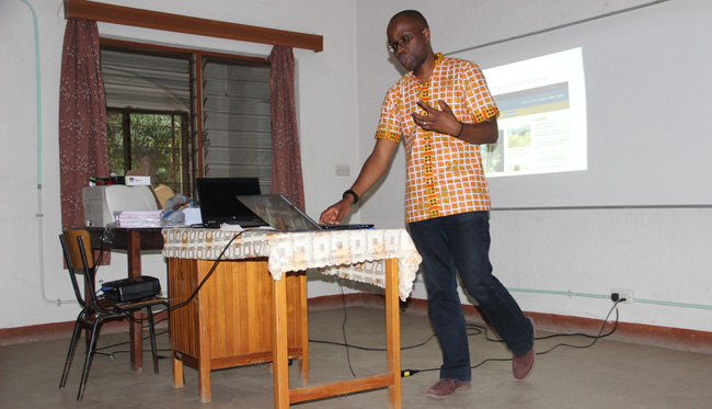web design and management presentation